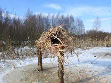 Nowe miejsca lęgowe dla kaczek w Nadleśnictwie Dobrocin