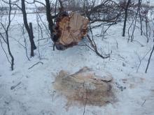 Kradzież nie popłaca